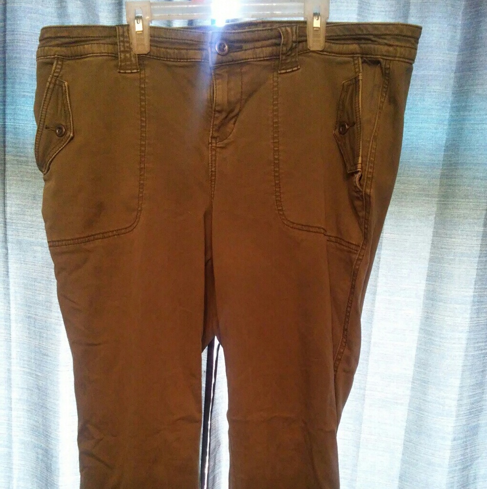 Torrid pants